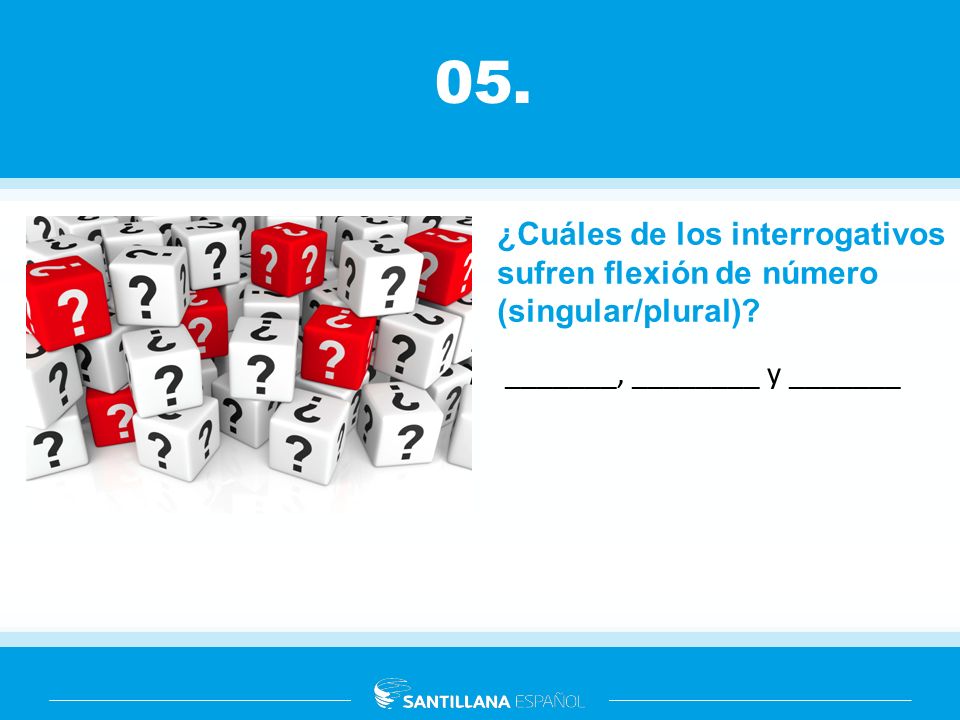 05. ¿Cuáles de los interrogativos sufren flexión de número (singular/plural) _______, ________ y _______.