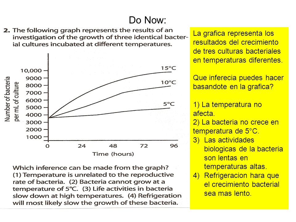 Do Now: La grafica representa los resultados del crecimiento de tres culturas bacteriales en temperaturas diferentes.