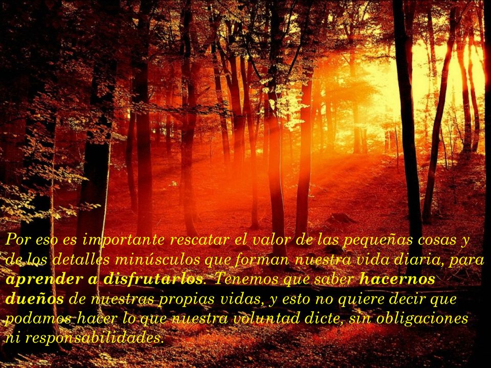 Por eso es importante rescatar el valor de las pequeñas cosas y de los detalles minúsculos que forman nuestra vida diaria, para aprender a disfrutarlos.