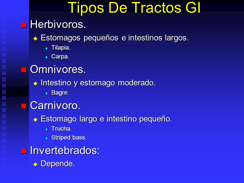 Tipos De Tractos GI Herbivoros. Omnivores. Carnivoro. Invertebrados: