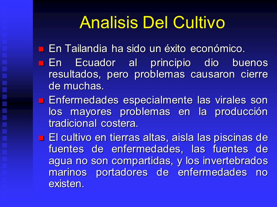 Analisis Del Cultivo En Tailandia ha sido un éxito económico.