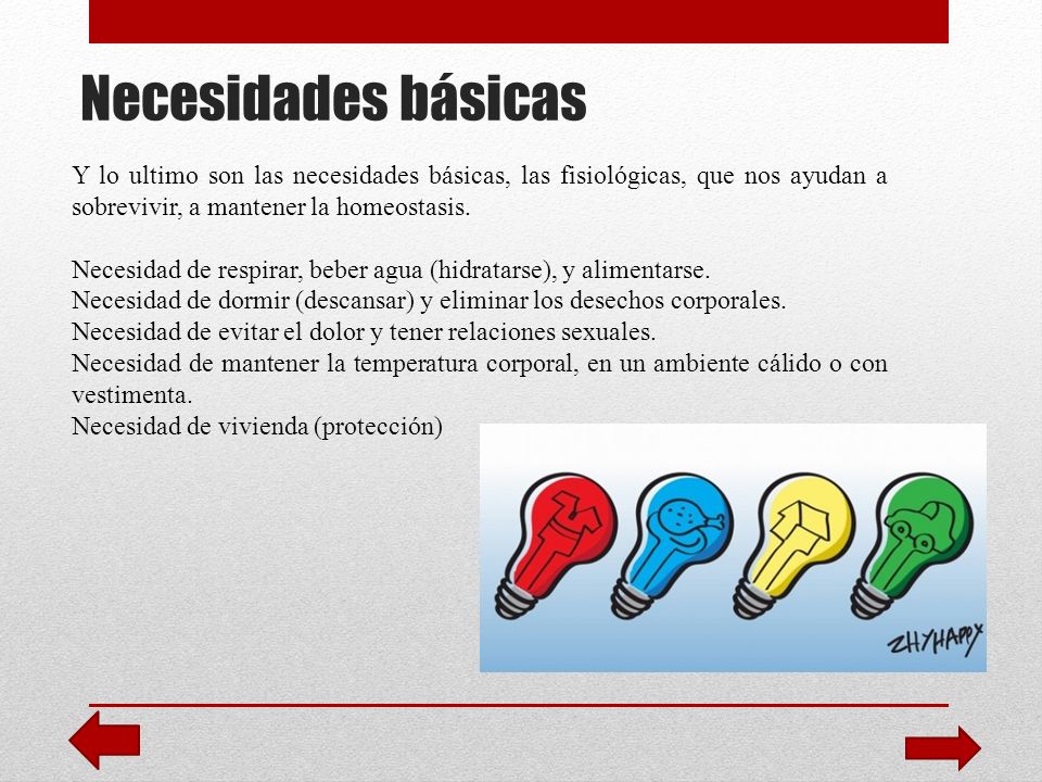 Necesidades básicas Y lo ultimo son las necesidades básicas, las fisiológicas, que nos ayudan a sobrevivir, a mantener la homeostasis.