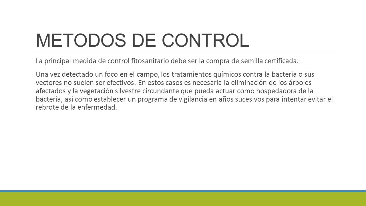 METODOS DE CONTROL La principal medida de control fitosanitario debe ser la compra de semilla certificada.