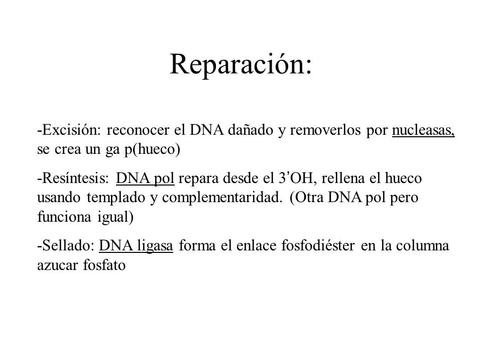 Reparación: -Excisión: reconocer el DNA dañado y removerlos por nucleasas, se crea un ga p(hueco)