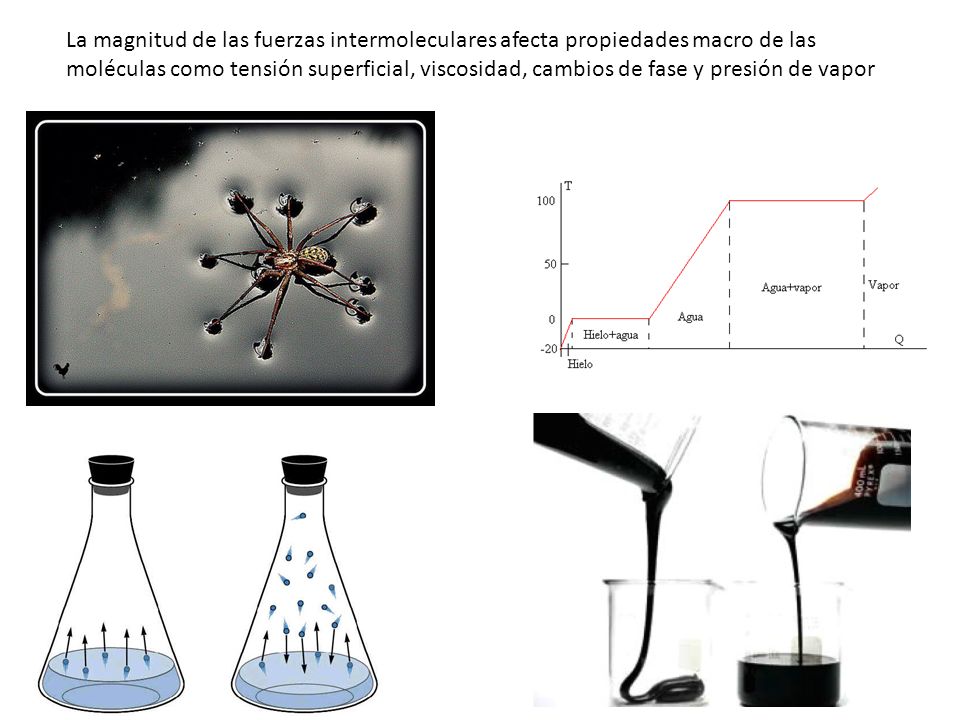 La magnitud de las fuerzas intermoleculares afecta propiedades macro de las moléculas como tensión superficial, viscosidad, cambios de fase y presión de vapor