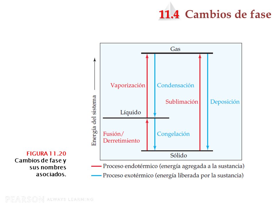 11.4 Cambios de fase FIGURA Cambios de fase y sus nombres asociados.
