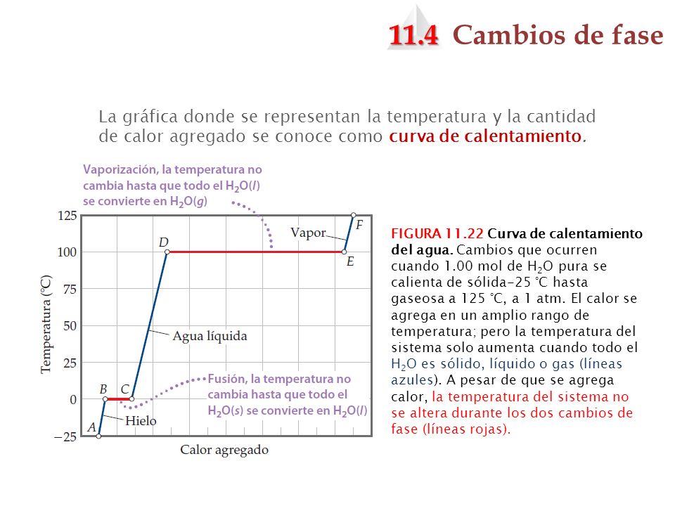 11.4 Cambios de fase La gráfica donde se representan la temperatura y la cantidad de calor agregado se conoce como curva de calentamiento.