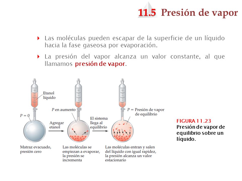 11.5 Presión de vapor Las moléculas pueden escapar de la superficie de un líquido hacia la fase gaseosa por evaporación.