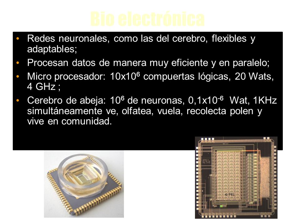 Bio electrónica Redes neuronales, como las del cerebro, flexibles y adaptables; Procesan datos de manera muy eficiente y en paralelo;