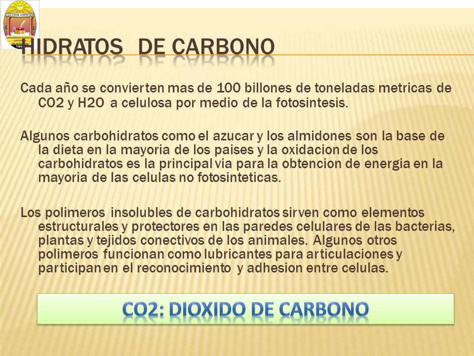 HIDRATOS DE CARBONO. Cada año se convierten mas de 100 billones de toneladas metricas de. CO2 y H2O a celulosa por medio de la fotosintesis.