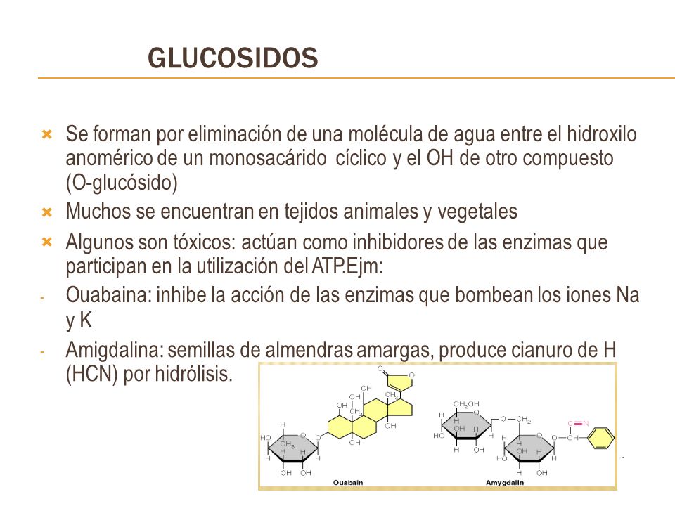 GLUCOSIDOS Se forman por eliminación de una molécula de agua entre el hidroxilo. anomérico de un monosacárido cíclico y el OH de otro compuesto.
