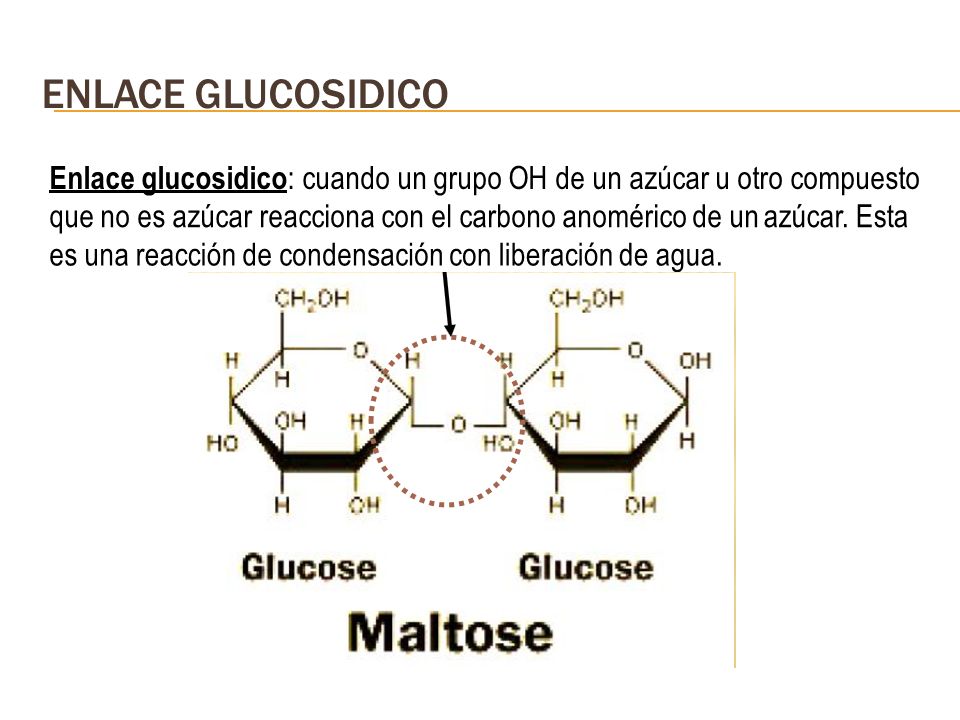 ENLACE GLUCOSIDICO Enlace glucosidico: cuando un grupo OH de un azúcar u otro compuesto. que no es azúcar reacciona con el carbono anomérico de un.