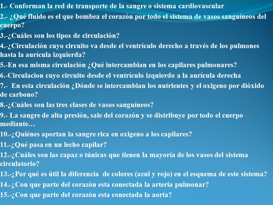 1.- Conforman la red de transporte de la sangre o sistema cardiovascular