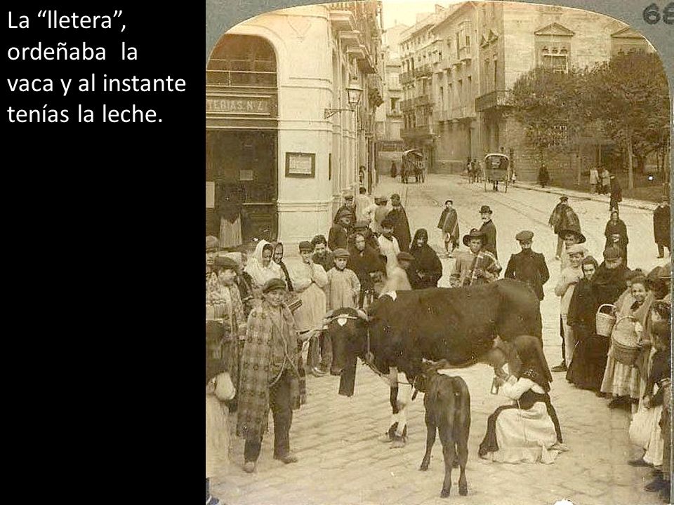 La lletera , ordeñaba la vaca y al instante tenías la leche.