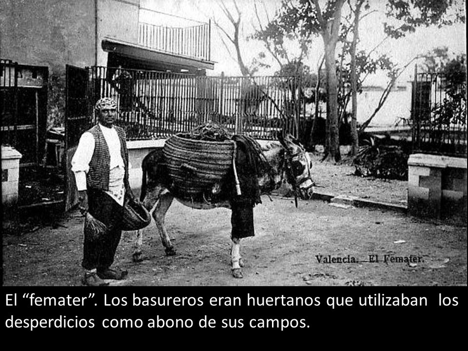 El femater . Los basureros eran huertanos que utilizaban los desperdicios como abono de sus campos.