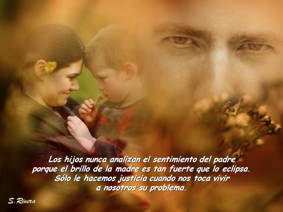 Los hijos nunca analizan el sentimiento del padre porque el brillo de la madre es tan fuerte que lo eclipsa.
