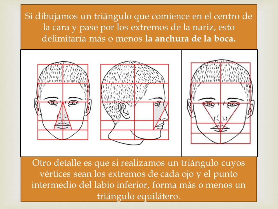 Si dibujamos un triángulo que comience en el centro de la cara y pase por los extremos de la nariz, esto delimitaría más o menos la anchura de la boca.