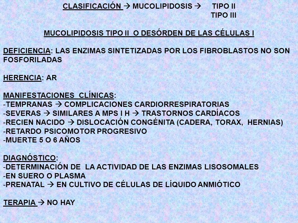 CLASIFICACIÓN  MUCOLIPIDOSIS  TIPO II TIPO III