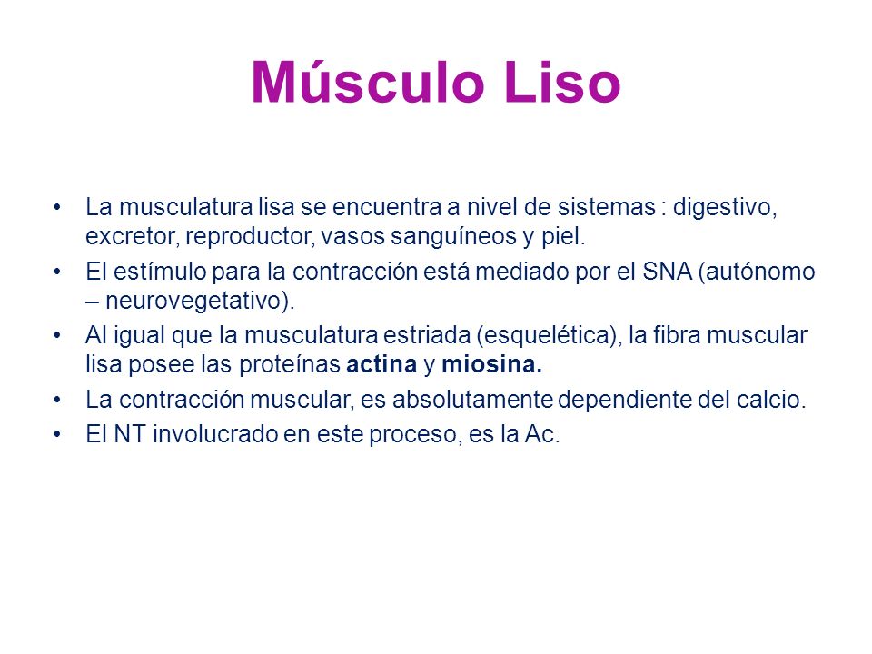 Músculo Liso La musculatura lisa se encuentra a nivel de sistemas : digestivo, excretor, reproductor, vasos sanguíneos y piel.