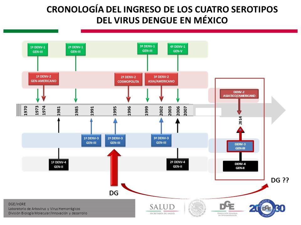 CRONOLOGÍA DEL INGRESO DE LOS CUATRO SEROTIPOS DEL VIRUS DENGUE EN MÉXICO
