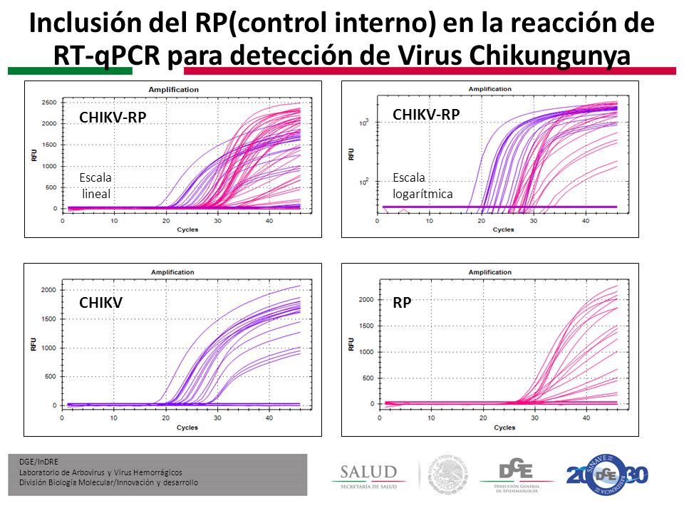 Inclusión del RP(control interno) en la reacción de RT-qPCR para detección de Virus Chikungunya