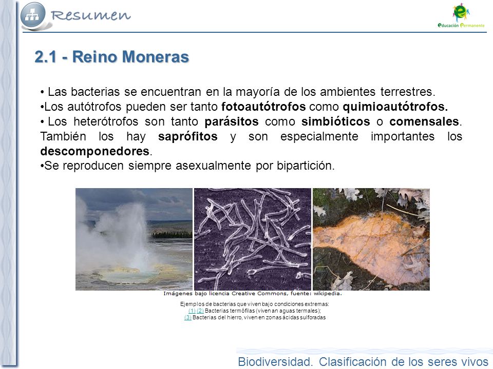2.1 - Reino Moneras Las bacterias se encuentran en la mayoría de los ambientes terrestres.