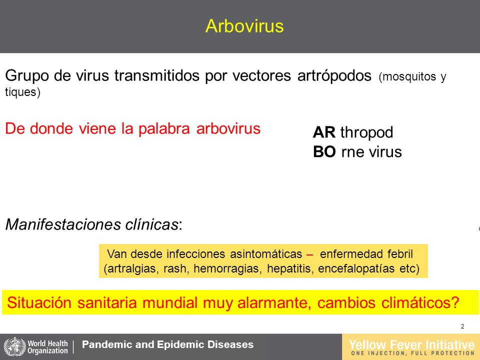 Arbovirus Grupo de virus transmitidos por vectores artrópodos (mosquitos y tiques) De donde viene la palabra arbovirus.