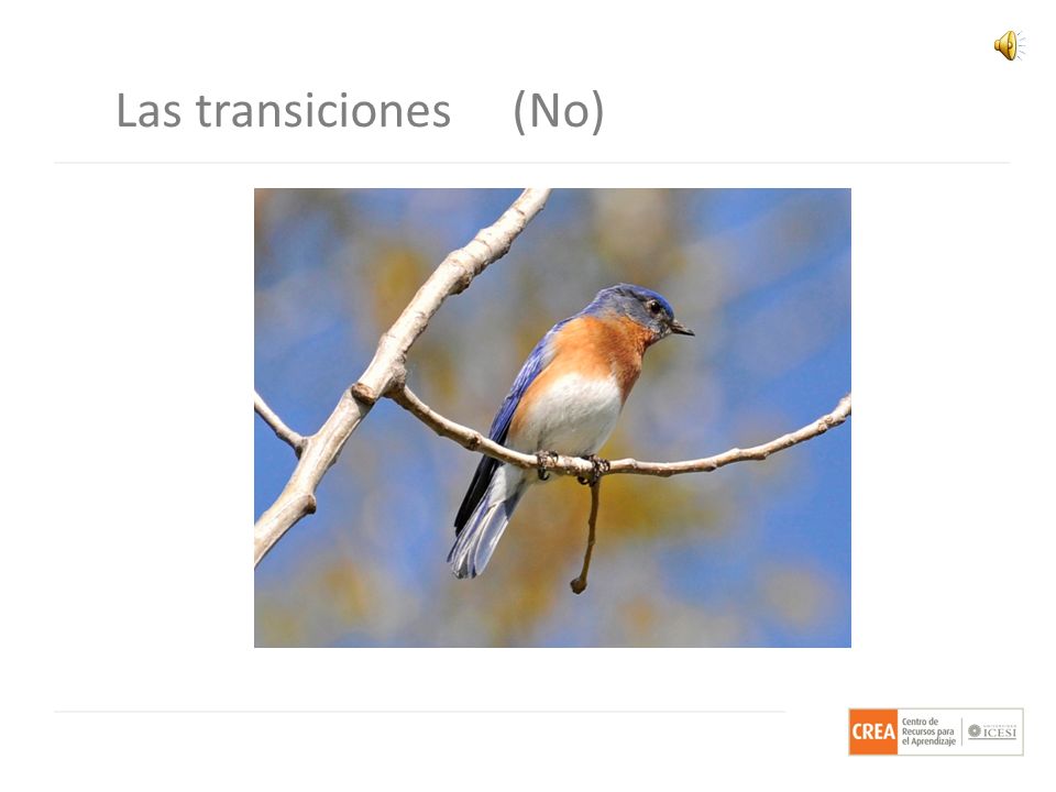 Las transiciones (No) Aquí un par de ejemplos de transiciones que… No significan nada