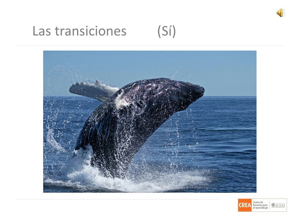 Las transiciones (Sí) Ahora veamos uno que si tiene significado