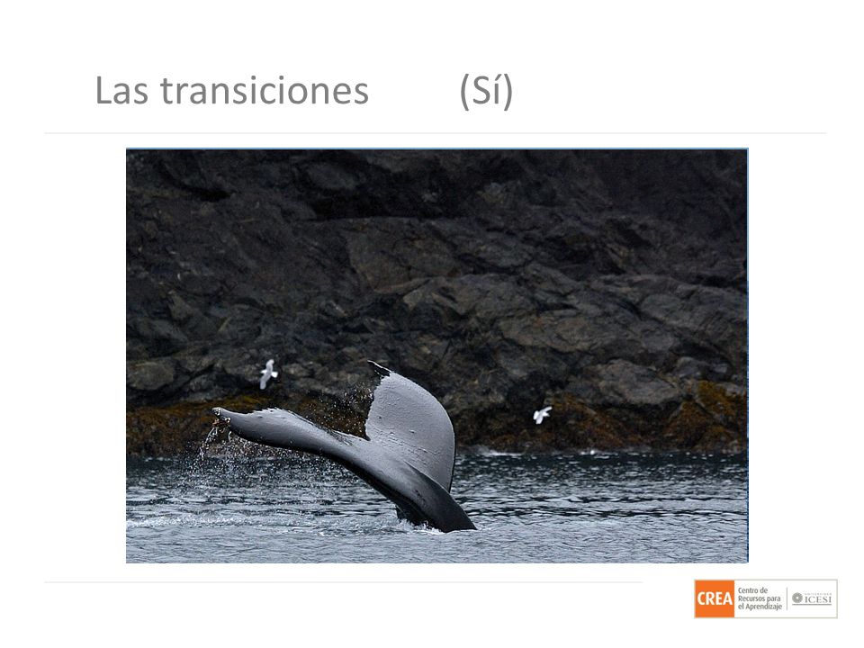 Las transiciones (Sí) Ahora veamos uno que si tiene significado