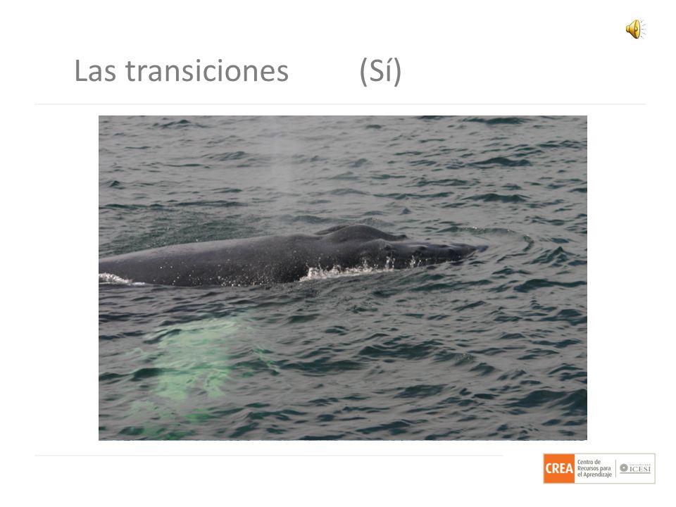 Las transiciones (Sí) Eso es una secuencia… algo que se siente más cohesionado cuando decidimos que exista una transición entre diapositivas.