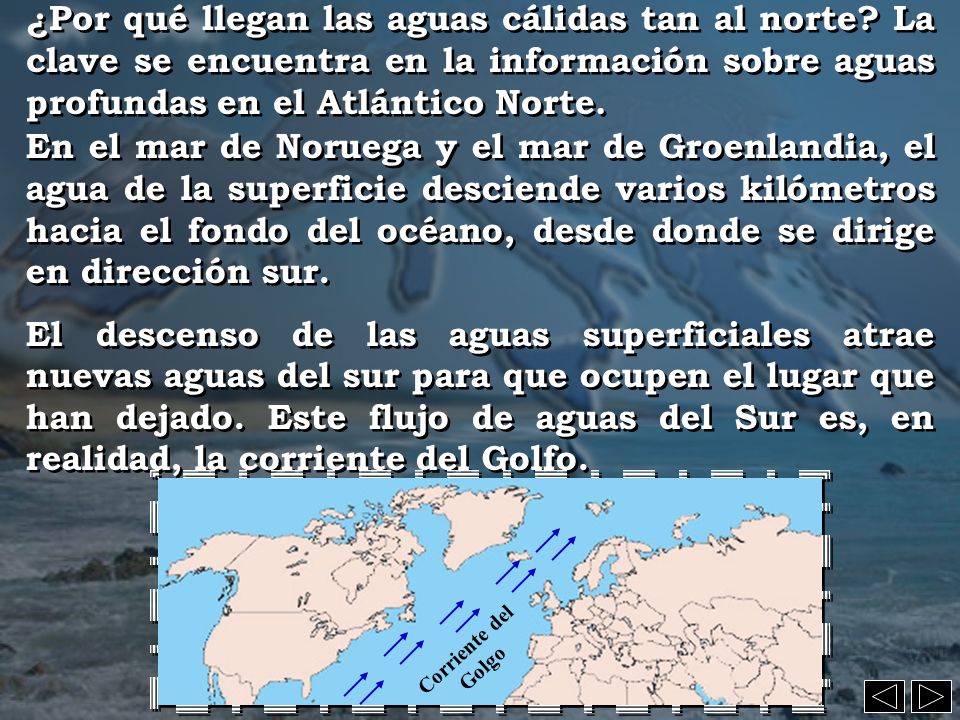 ¿Por qué llegan las aguas cálidas tan al norte