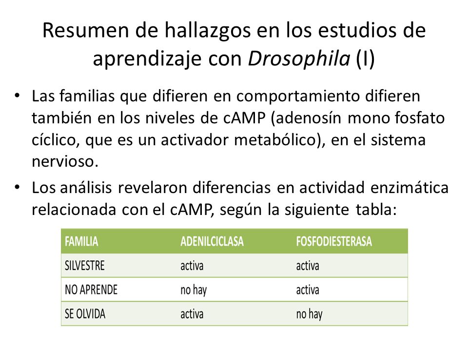 Resumen de hallazgos en los estudios de aprendizaje con Drosophila (I)