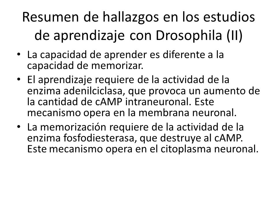 Resumen de hallazgos en los estudios de aprendizaje con Drosophila (II)