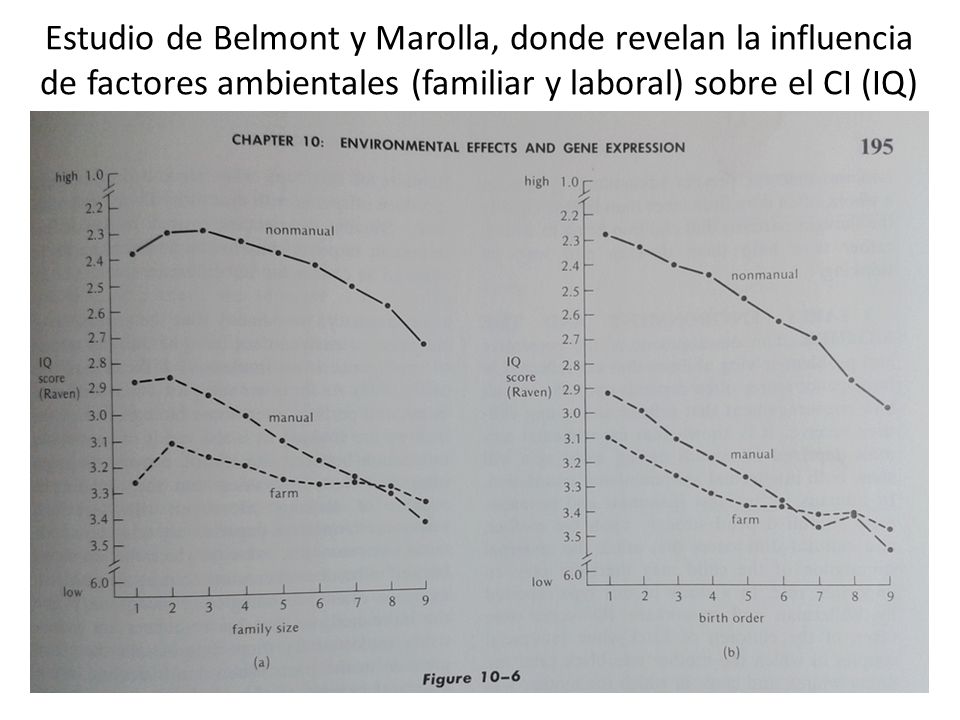 Estudio de Belmont y Marolla, donde revelan la influencia de factores ambientales (familiar y laboral) sobre el CI (IQ)