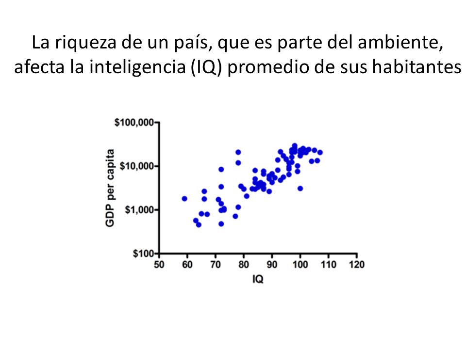 La riqueza de un país, que es parte del ambiente, afecta la inteligencia (IQ) promedio de sus habitantes