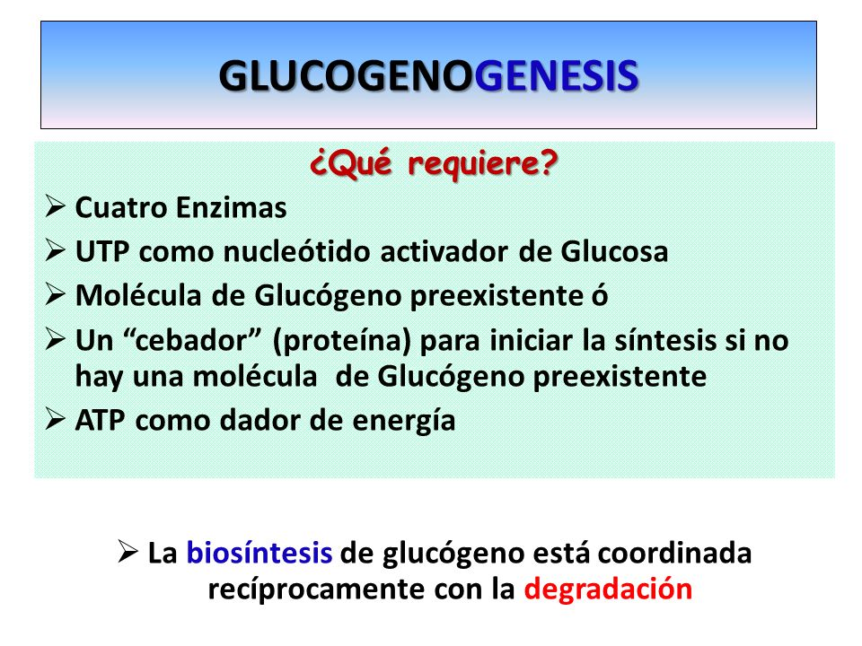 GLUCOGENOGENESIS ¿Qué requiere Cuatro Enzimas