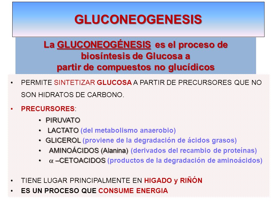 GLUCONEOGENESIS La GLUCONEOGÉNESIS es el proceso de biosíntesis de Glucosa a. partir de compuestos no glucídicos.