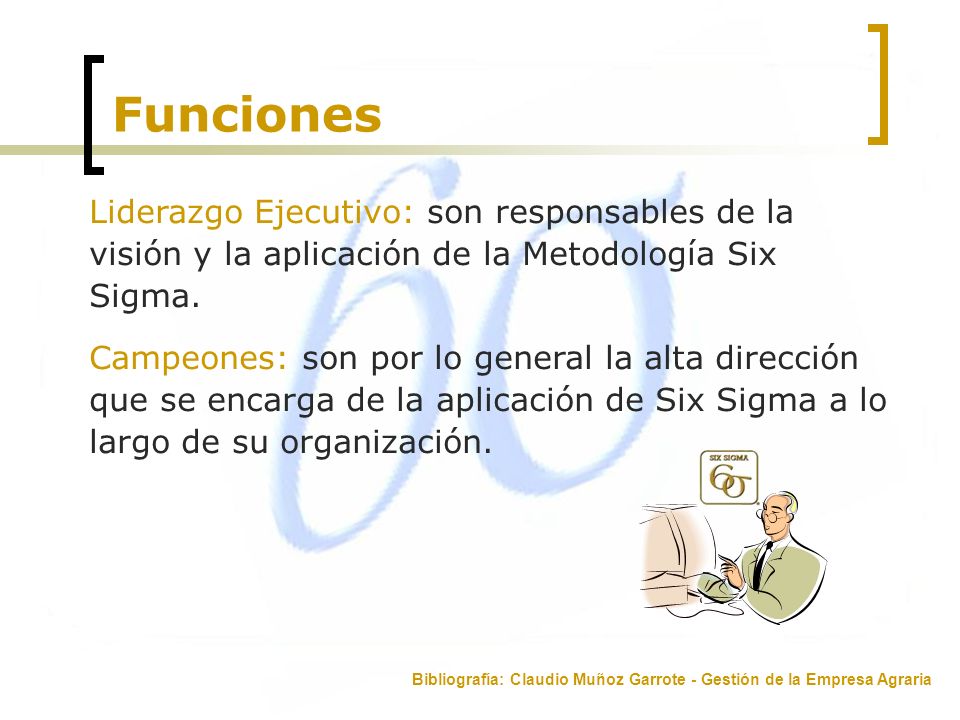 Funciones Liderazgo Ejecutivo: son responsables de la visión y la aplicación de la Metodología Six Sigma.