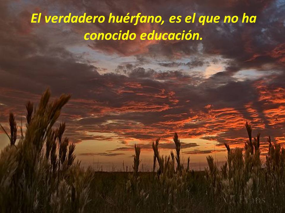 El verdadero huérfano, es el que no ha conocido educación.