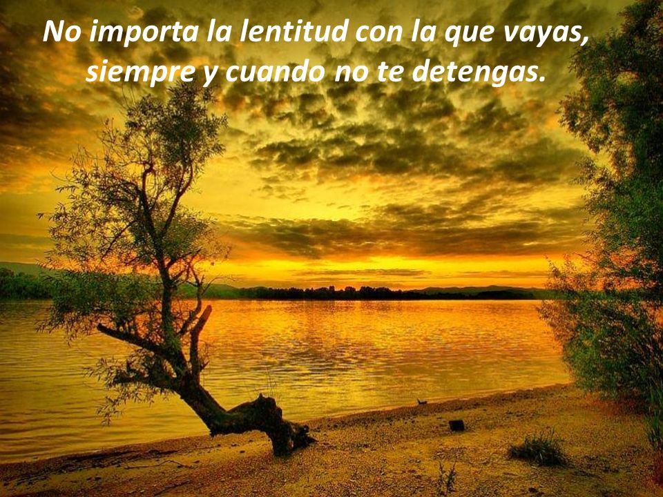 No importa la lentitud con la que vayas, siempre y cuando no te detengas.