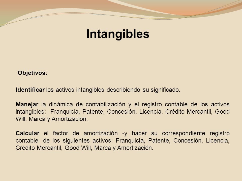 Intangibles Objetivos: