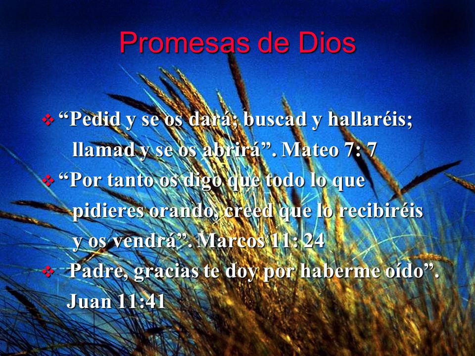 Promesas de Dios Pedid y se os dará; buscad y hallaréis;