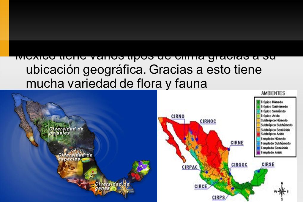 México tiene varios tipos de clima gracias a su ubicación geográfica