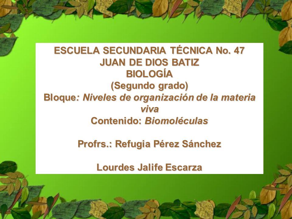 ESCUELA SECUNDARIA TÉCNICA No. 47 JUAN DE DIOS BATIZ BIOLOGÍA