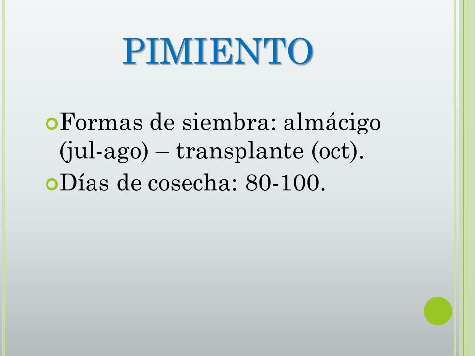 PIMIENTO Formas de siembra: almácigo (jul-ago) – transplante (oct).