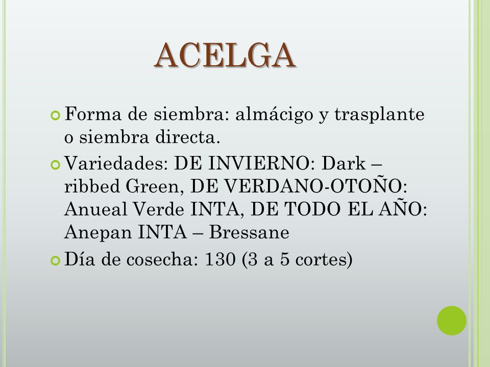 ACELGA Forma de siembra: almácigo y trasplante o siembra directa.