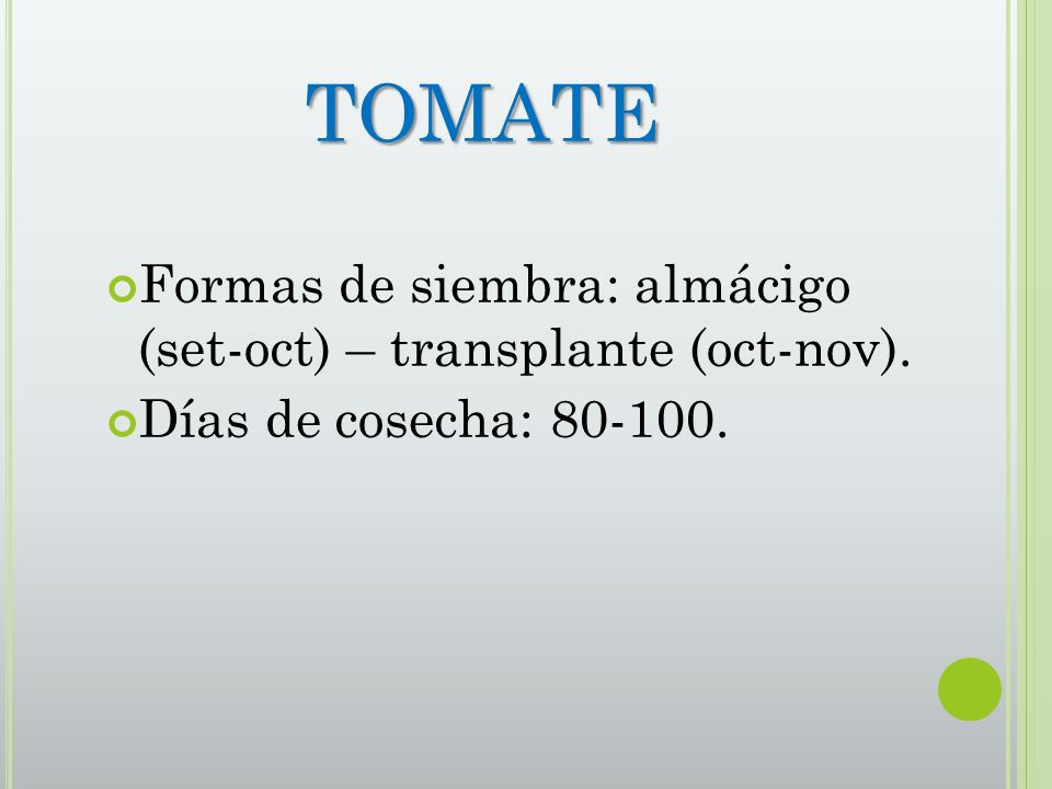 TOMATE Formas de siembra: almácigo (set-oct) – transplante (oct-nov).