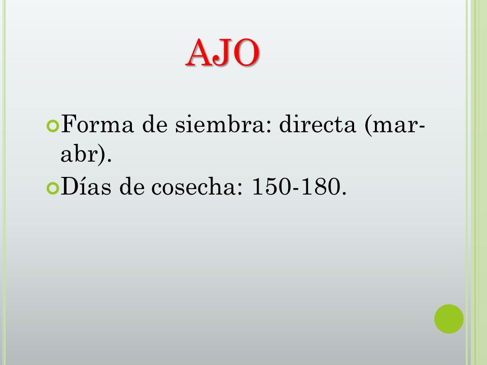 AJO Forma de siembra: directa (mar- abr). Días de cosecha: