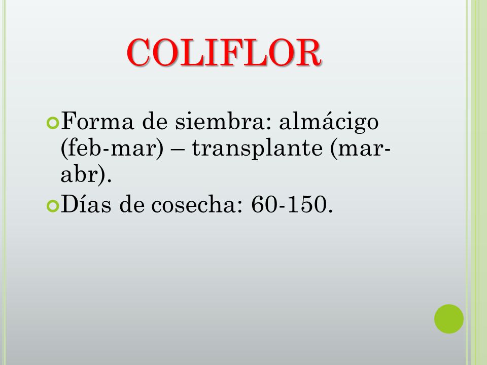 COLIFLOR Forma de siembra: almácigo (feb-mar) – transplante (mar- abr). Días de cosecha: